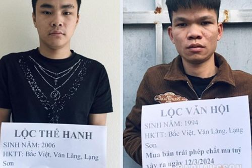 Văn Lãng: Phát hiện, bắt giữ liên tiếp 3 vụ, 3 đối tượng phạm tội về ma túy