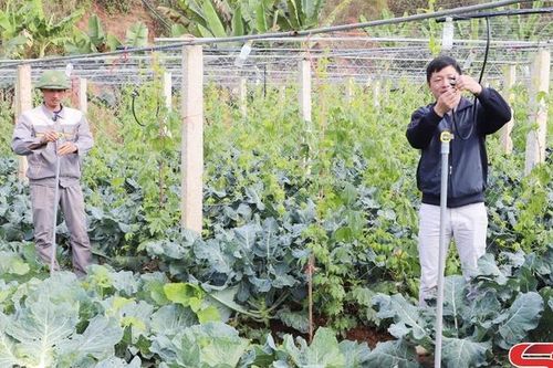 Nhiều hoạt động giúp hội viên phát triển sản xuất