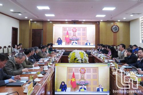 Đẩy mạnh các hoạt động chăm sóc, phát huy vai trò người cao tuổi