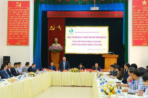 Hiệp hội Doanh nghiệp tỉnh thống nhất các giải pháp, nhiệm vụ trọng tâm