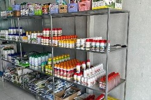 Thu giữ hàng ngàn sản phẩm thuốc bảo vệ thực vật tại An Giang