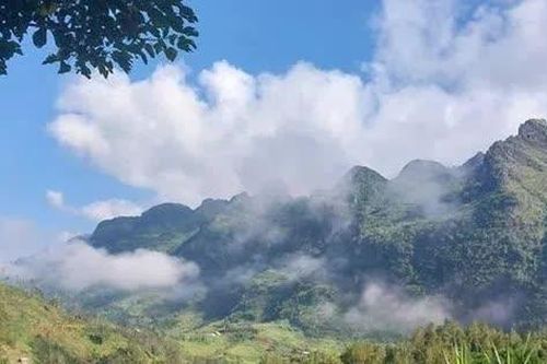 Rưng rưng Bản Phố (Tản văn)