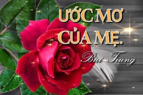 Ước mơ của mẹ