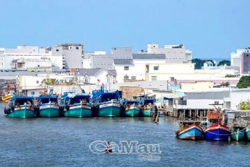 Hồi sinh 'rừng vàng, biển bạc'
