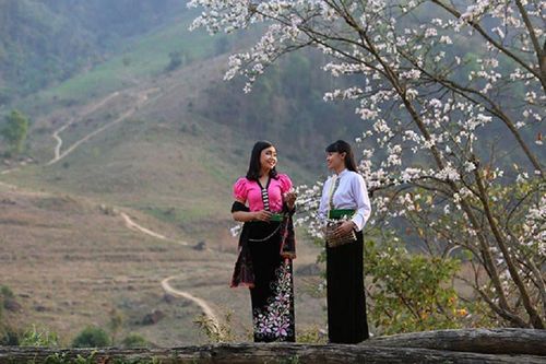 Quảng bá du lịch Điện Biên qua cuộc thi ảnh 'Lung linh miền hoa ban'