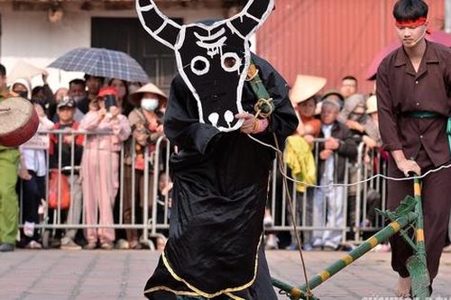 Người đóng giả trâu trong hội thi cày kén rể