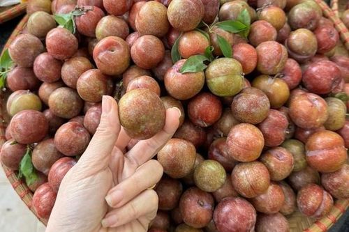 Mận trái mùa 'giá chát' nhưng vẫn hấp dẫn chị em