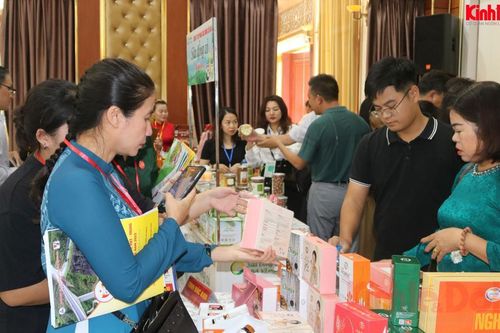 Lào Cai: Thúc đẩy hoạt động xúc tiến đầu tư, thương mại, du lịch năm 2024