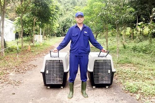 Vườn quốc gia Phong Nha-Kẻ Bàng tiếp nhận, cứu hộ nhiều động vật hoang dã, quý hiếm