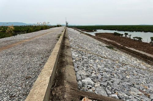 Huyện Đầm Hà (Quảng Ninh) làm đê hơn trăm tỷ rồi bỏ không?