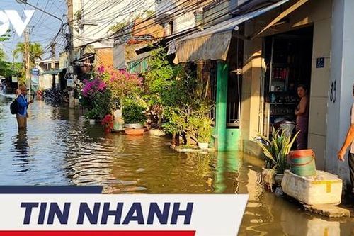 TIN NHANH: Triều cường nước mặn dâng cao, người dân 'kêu cứu'