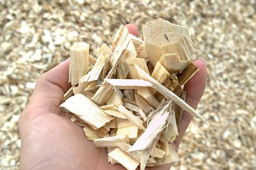 Chỉ bán 'gỗ vụn' thu về 2,9 tỷ USD