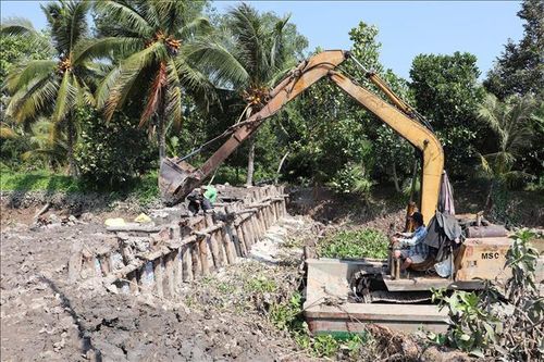 Phòng chống hạn mặn: Bảo vệ an toàn cho diện tích thanh long