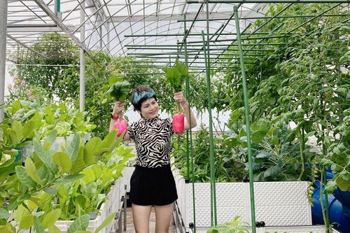 Mãn nhãn vườn rau tuyệt đẹp trên sân thượng của 'cô chủ' ở Đà Nẵng