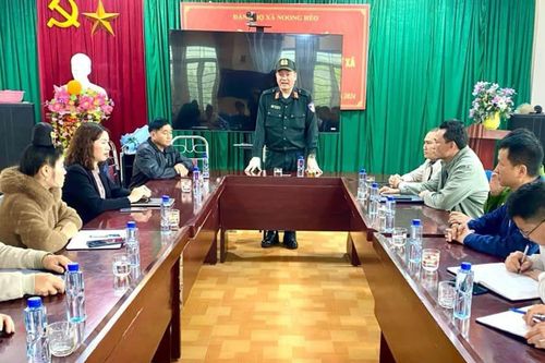 Phu vàng tử vong, chủ bưởng chi 250 triệu đồng để 'che mắt'