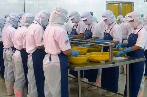 Lãnh đạo Công ty Thương mại Thủy sản nói gì khi cổ phiếu ICF liên tục tăng trần?