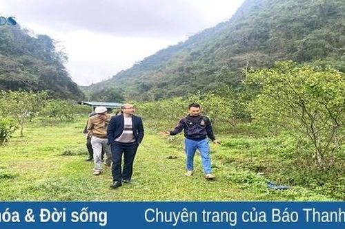 Từ thầy giáo đến ông chủ trang trại sinh thái
