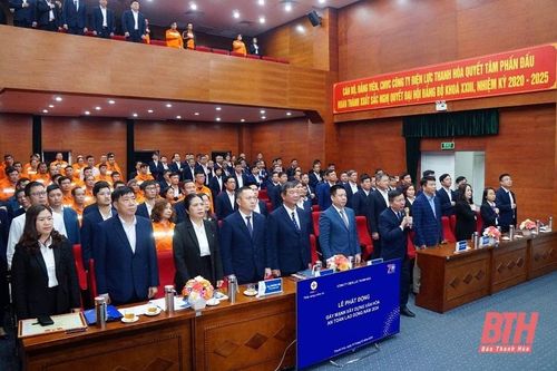 Công ty Điện lực Thanh Hóa đẩy mạnh xây dựng Văn hóa an toàn lao động năm 2024