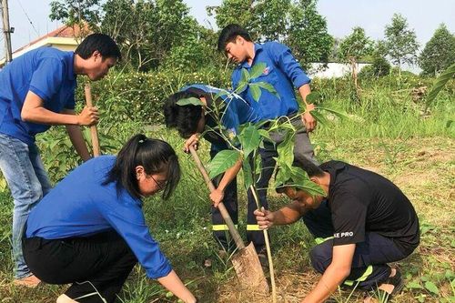 Thanh niên Châu Phú tình nguyện vì cuộc sống cộng đồng