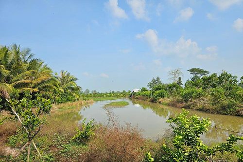 UBND tỉnh An Giang yêu cầu khẩn trương ứng phó khô hạn
