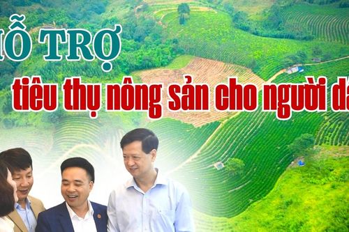 Hỗ trợ quảng bá, tiêu thụ nông sản cho nông dân