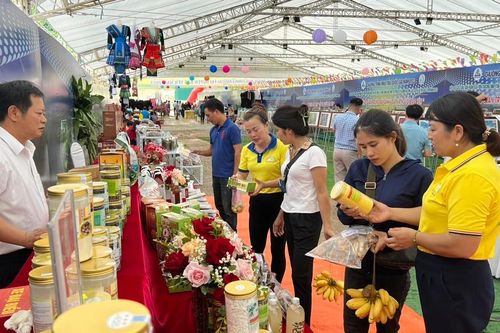 Triển khai các hoạt động xúc tiến đầu tư, thương mại và quảng bá du lịch năm 2024