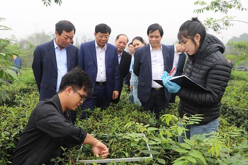 Chủ tịch UBND tỉnh Bùi Văn Quang làm việc với Viện Khoa học Kỹ thuật nông lâm nghiệp miền núi phía Bắc