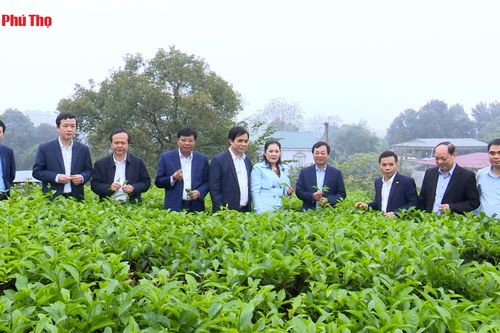 Chủ tịch UBND tỉnh Bùi Văn Quang làm việc với Viện Khoa học Kỹ thuật nông lâm nghiệp miền núi phía Bắc