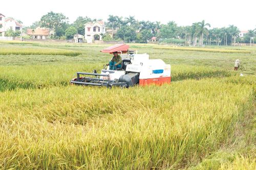 Dẫn lối, đồng lòng, 'tam nông' phát triển
