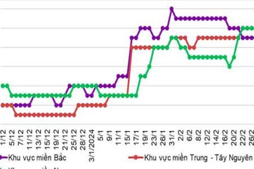 Giá heo có thể khởi sắc trong thời gian tới?