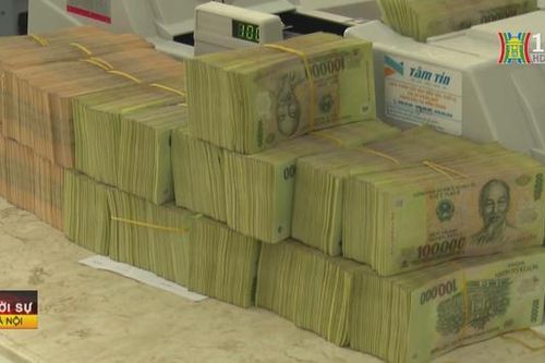 Kịp thời cho vay thu mua, kinh doanh lúa, gạo
