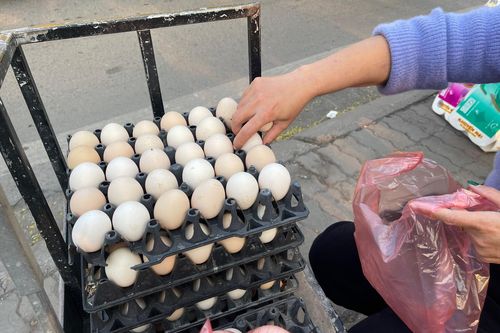 Trứng gà rớt giá thảm chỉ còn 1.500 đồng/quả, nông dân lỗ 1,5 triệu đồng/ngày
