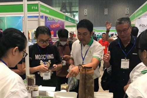 25 quốc gia và vùng lãnh thổ tham gia triển lãm hàng đầu về ngành rau, hoa, quả