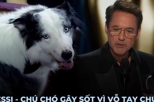Tất tật về Messi - 'ngôi sao 4 chân' chiếm trọn spotlight tại lễ trao giải Oscar 2024