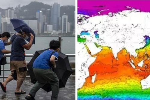 Mùa bão năm nay dự đoán sẽ dữ dội do nhiệt độ nước biển toàn cầu đang cao kỷ lục