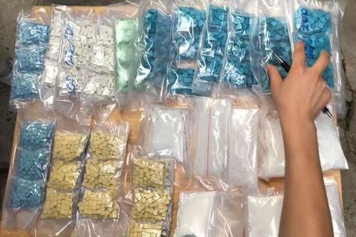 Vận chuyển 300 đơn hàng ma túy qua đường chuyển phát nhanh