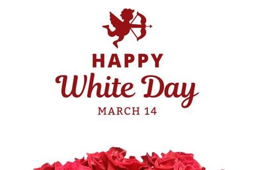 Lời chúc Valentine Trắng 14/3 cho bạn gái, người yêu lãng mạn nhất