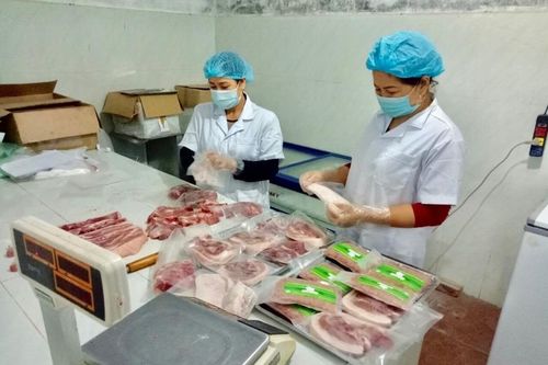 Chăn nuôi an toàn, bền vững lên ngôi