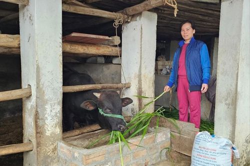 Thái Nguyên: Làm tốt công tác xóa đói giảm nghèo