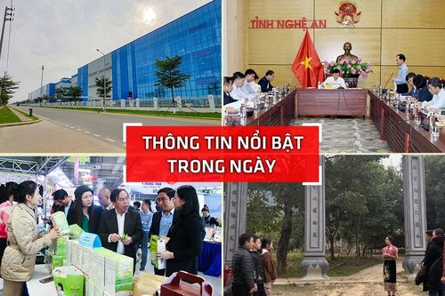 Nghệ An: Thông tin nổi bật ngày 14/3