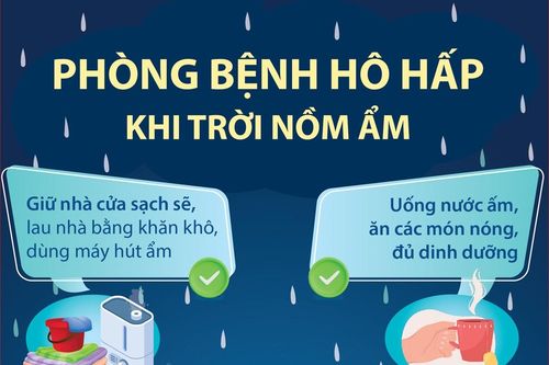 Phòng bệnh hô hấp khi trời nồm ẩm