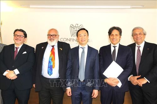 Thành công của cầu nối kinh tế Việt Nam - Basilicata