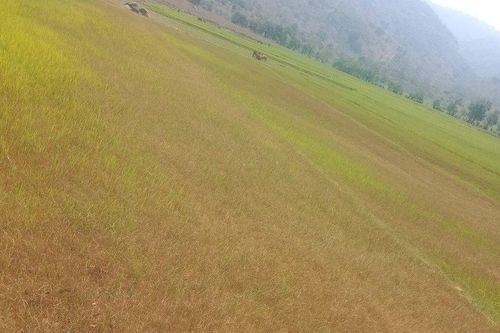 Đắk Lắk: Nỗ lực ứng phó với khô hạn