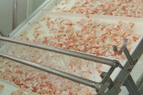 Từng bị hủy niêm yết, cổ phiếu của Incomfish có đang lội ngược dòng?