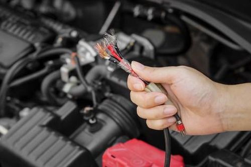 Cách chống chuột chui vào ô tô hiệu quả