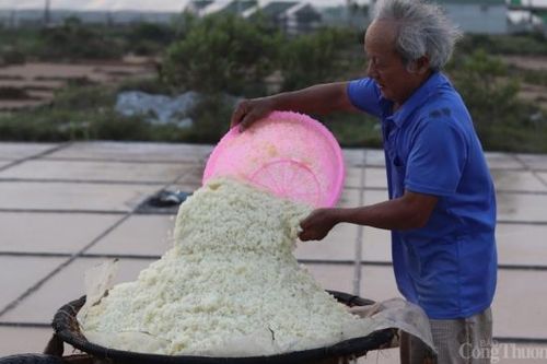 Nỗi lòng diêm dân xứ Thanh