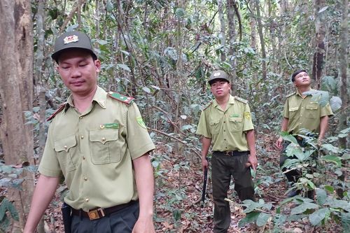 Tăng cường các biện pháp bảo vệ cây ươi
