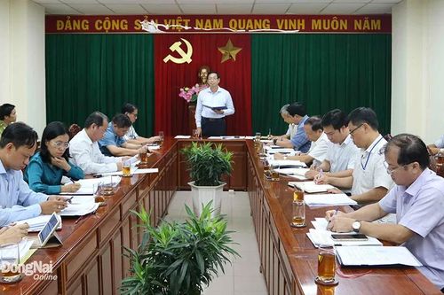 Cần chuyển đổi 2,95 hécta rừng để xây dựng cầu Phước An