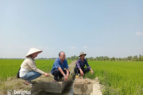 Định Quán có 11 công trình thủy lợi đang hoạt động
