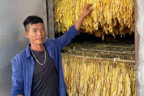 Lò sấy thuốc lá cải tiến: Tiết kiệm, hiệu quả